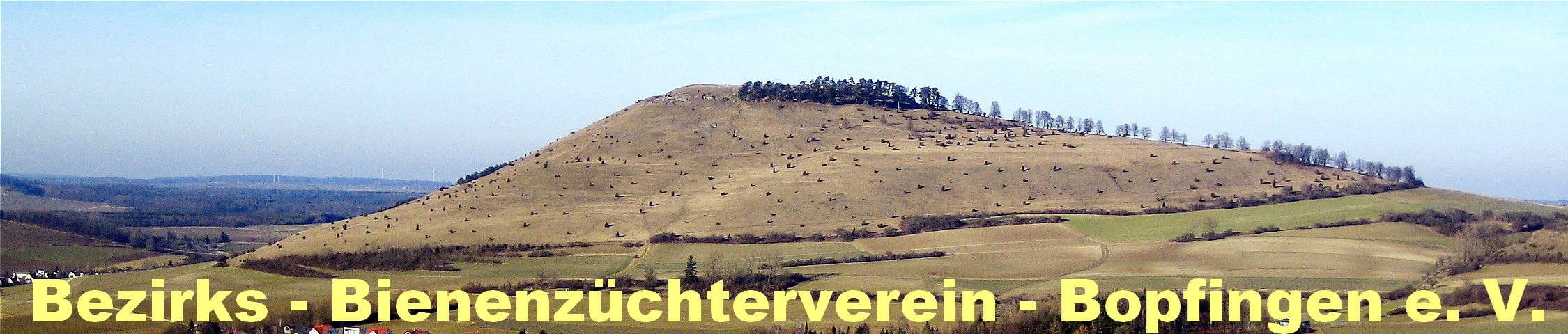 Logo des Bezirks-Bienenzüchtervereins Bopfingen e.V.