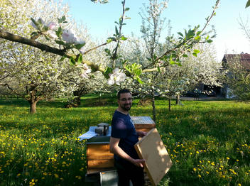 Frühjahrsblüte am Bienenstand