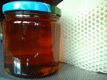 Frühtrachthonig 2022 im Glas