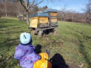 Es kann losgehen (vor der Frühjahrsrevision, 20.02.2021)
